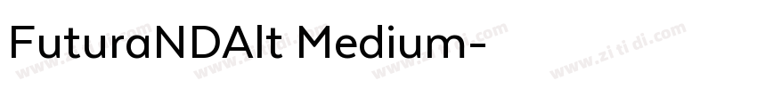 FuturaNDAlt Medium字体转换